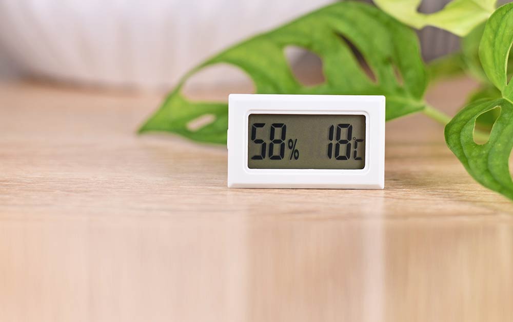 Comment mesurer le taux d'humidité d'une maison ou d'un appartement ? -  Qualitel