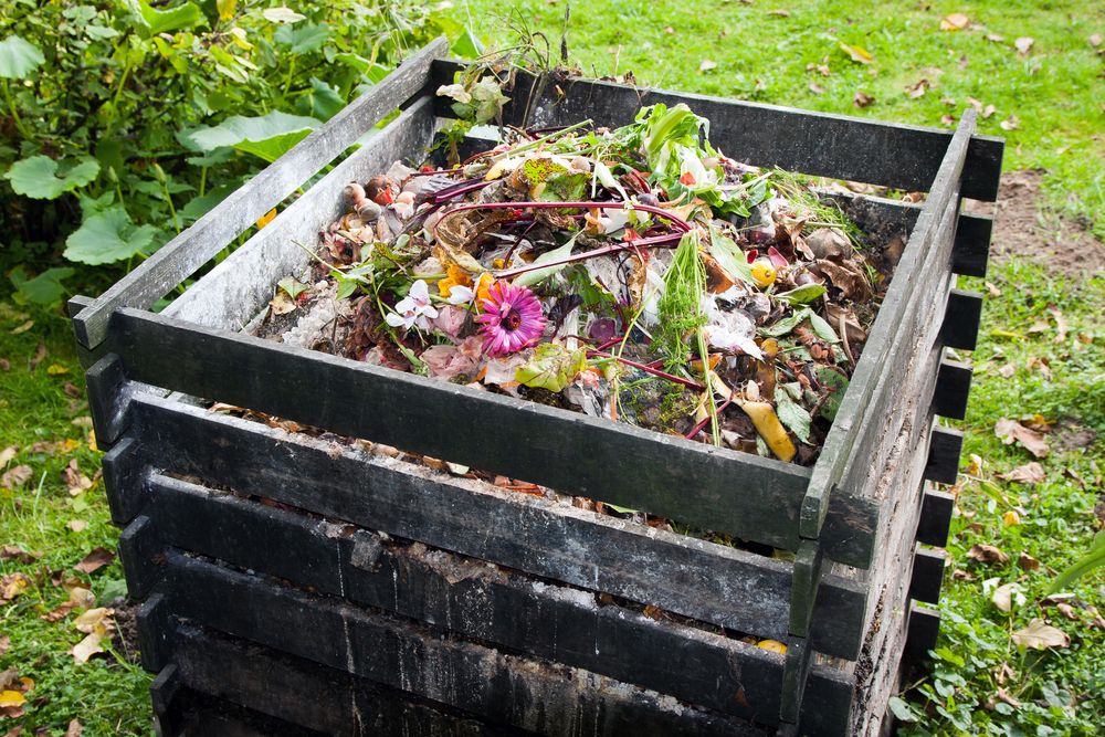 Les déchets verts à jeter dans le compost