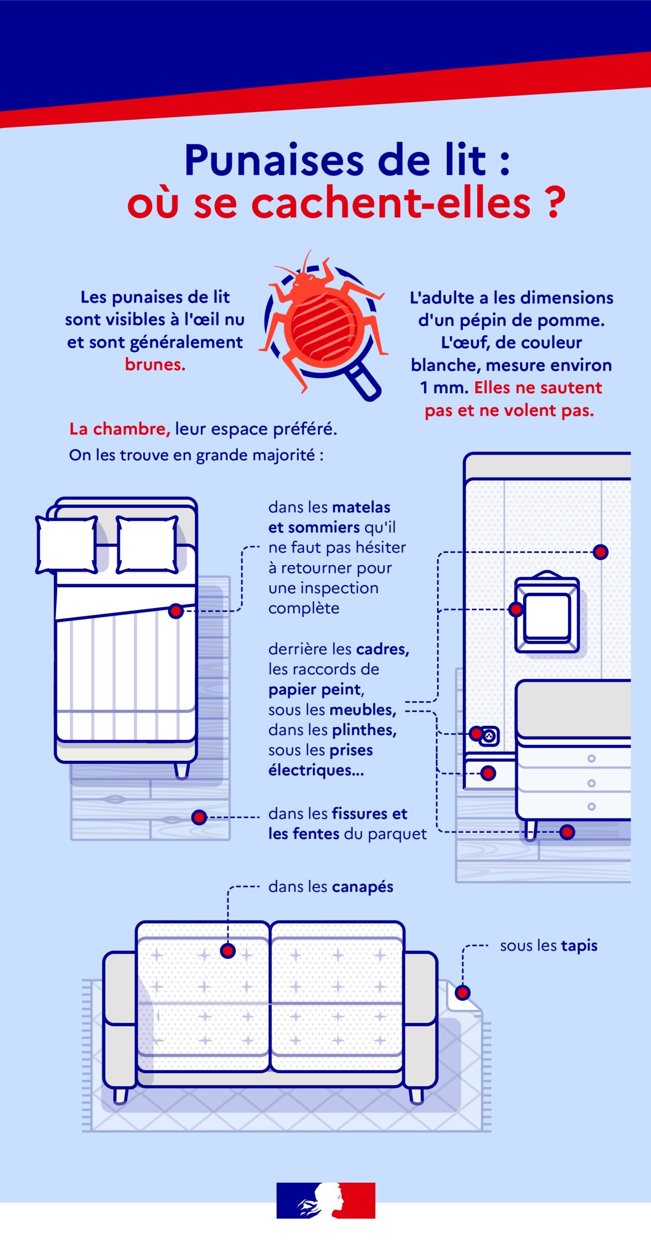 Où se cachent les punaises de lit