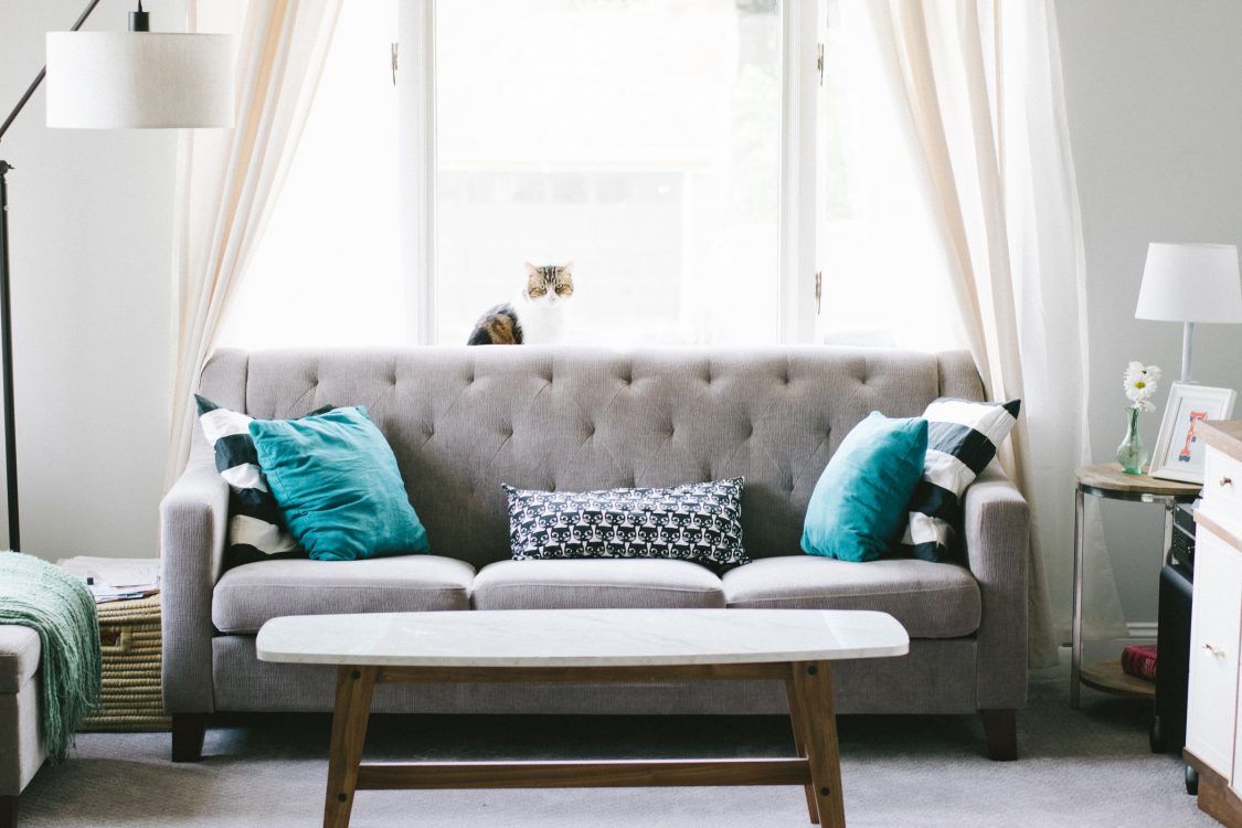 Assainir l’air de votre logement : 8 conseils