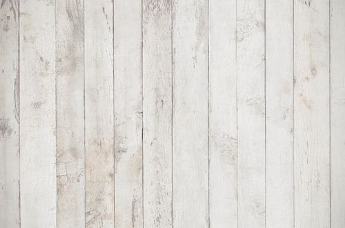 shutterstock_517824436